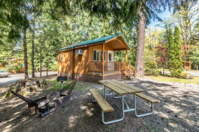 Mount Hood Village Deluxe Cabin 5